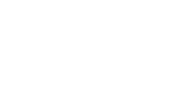 4项筛选标准